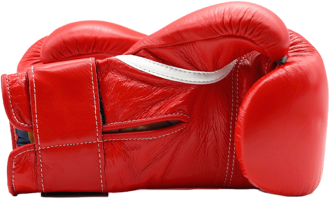 Winning Red Velcro Boxing Gloves - Lorem Ipsum (480x480), Png Download