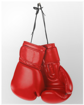 Boxing Gloves Stock (400x400), Png Download