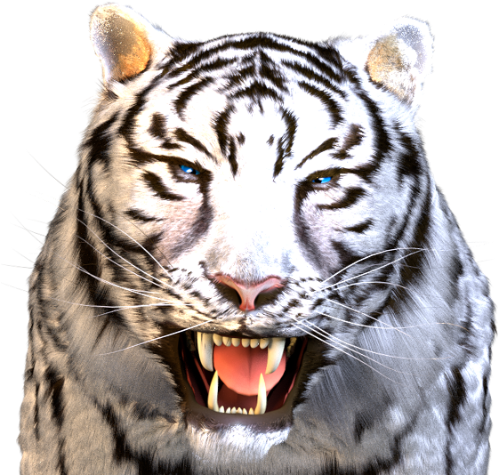 Aruze Tiger Character - Tiger (573x540), Png Download