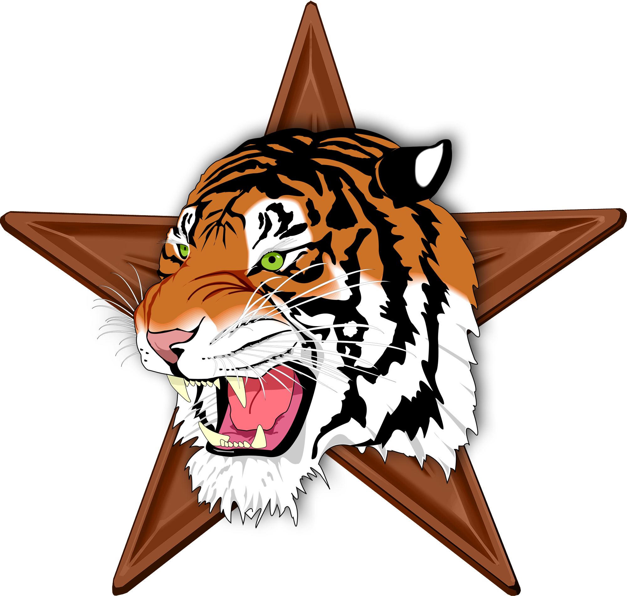 Mammal Barnstar Hires - Tiger Png (2000x1900), Png Download