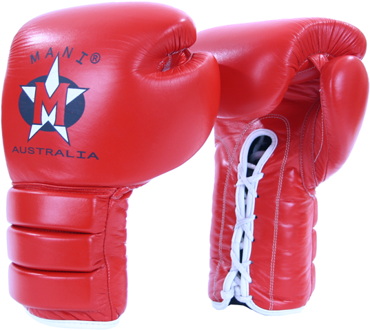Pro Fight Leather Boxing Glove - Inflatable (544x492), Png Download