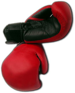 Home - Boxing Gloves (400x325), Png Download