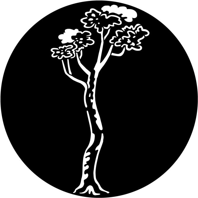 Tree - Maple - Apollo Design 3523 Tree Maple Steel Pattern (800x800), Png Download