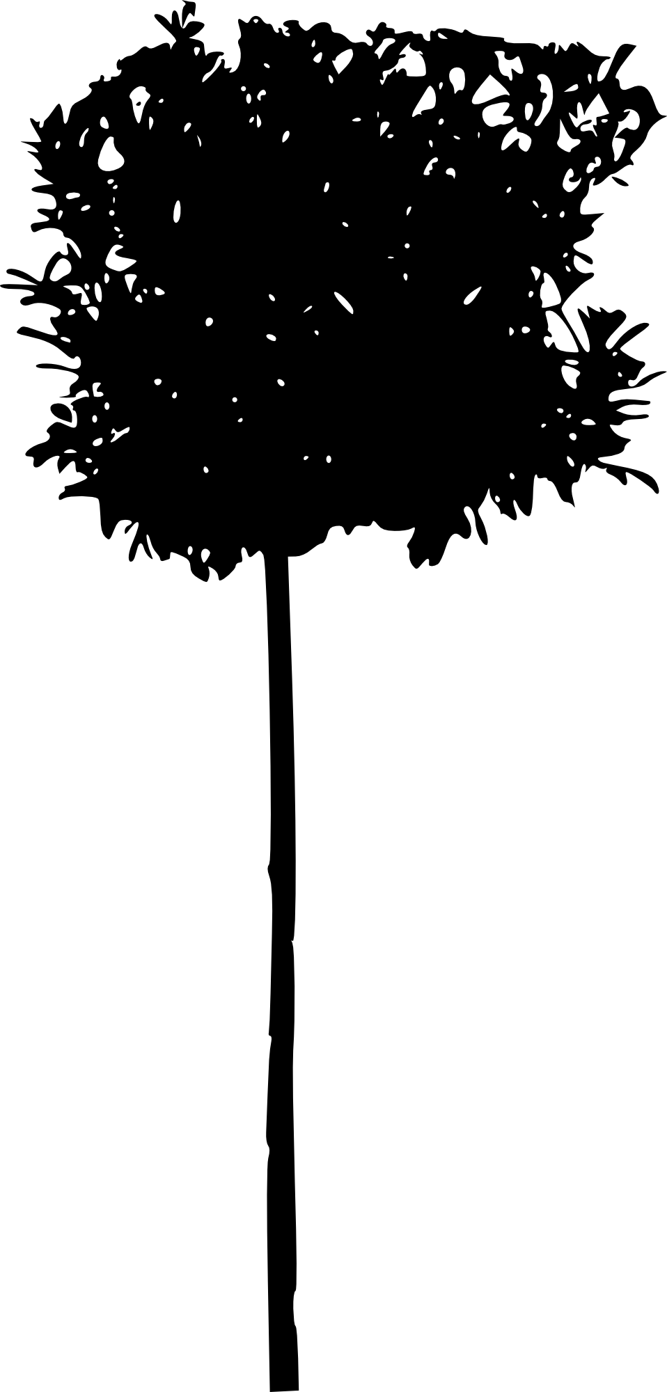 45 Tree Silhouettes Png Transparent Background - Tree (958x2000), Png Download