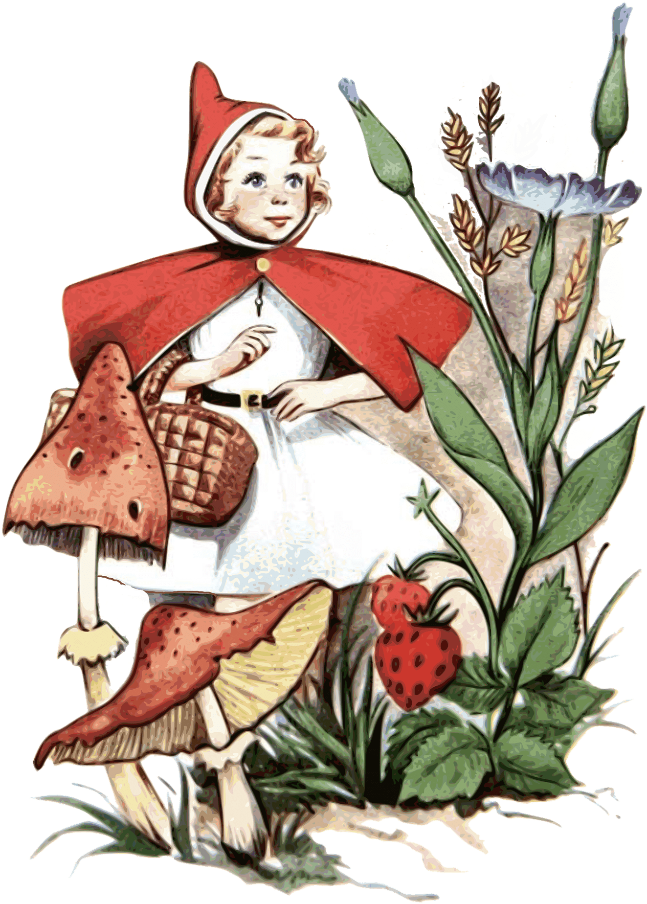 Little Red Riding Hood Cute Transparent (1419x1920), Png Download