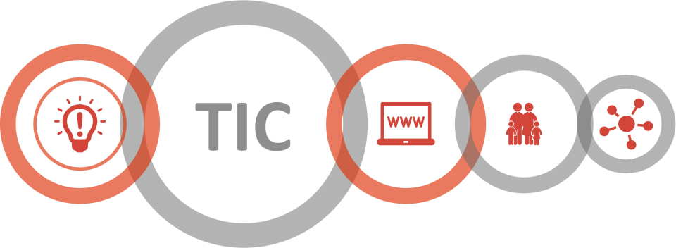 Natural Cures For Tic Disorder - Componentes De Las Tic (960x352), Png Download