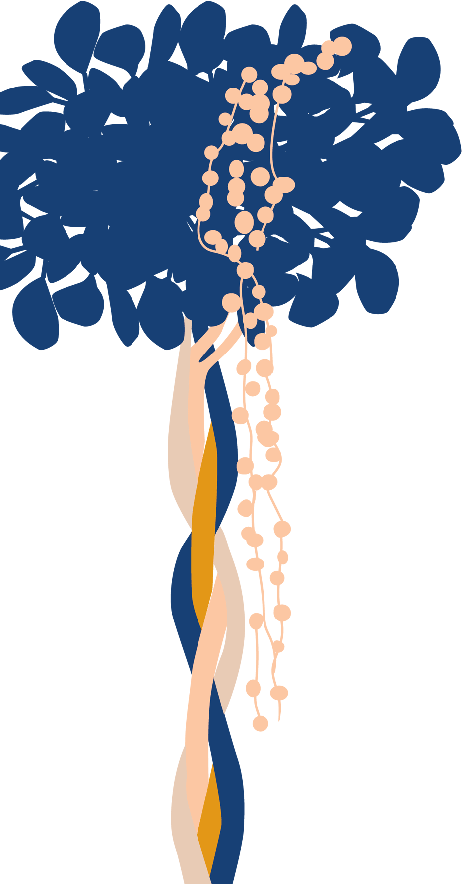 Bloomscape Potted Ficus Danielle - Illustration (1440x1803), Png Download