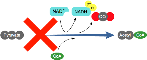 17 Apr 2015 - Parallel (790x450), Png Download
