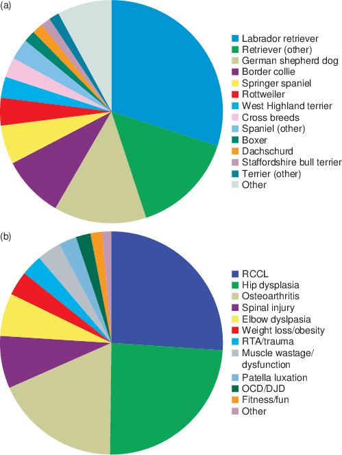 Distribution Of Common Breeds And (b) Conditions Of - Osteoarthritis (499x663), Png Download