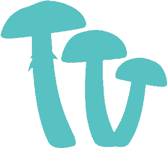 Choose The Type Of Shroom - Shiitake (400x400), Png Download