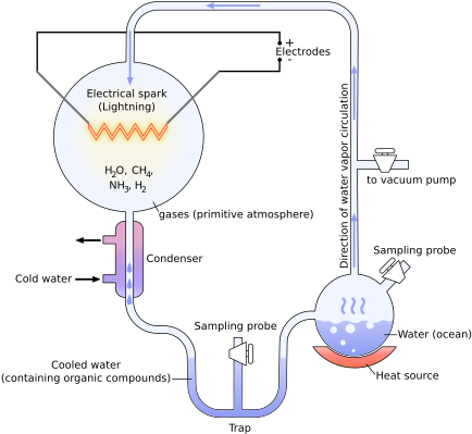 Miller Urey Experiment Diagram (450x419), Png Download