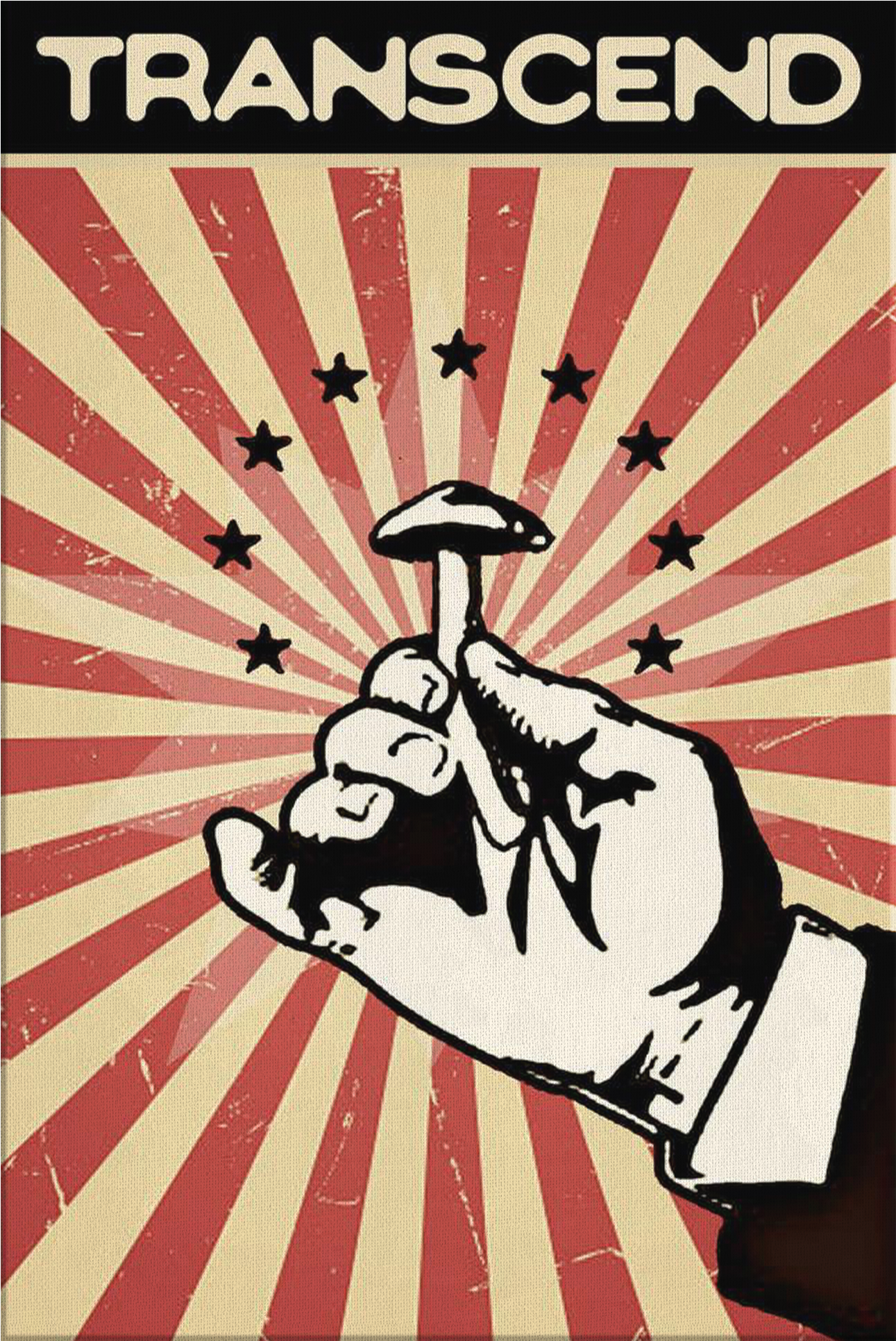 Transcend - Magic Mushrooms (2000x2000), Png Download