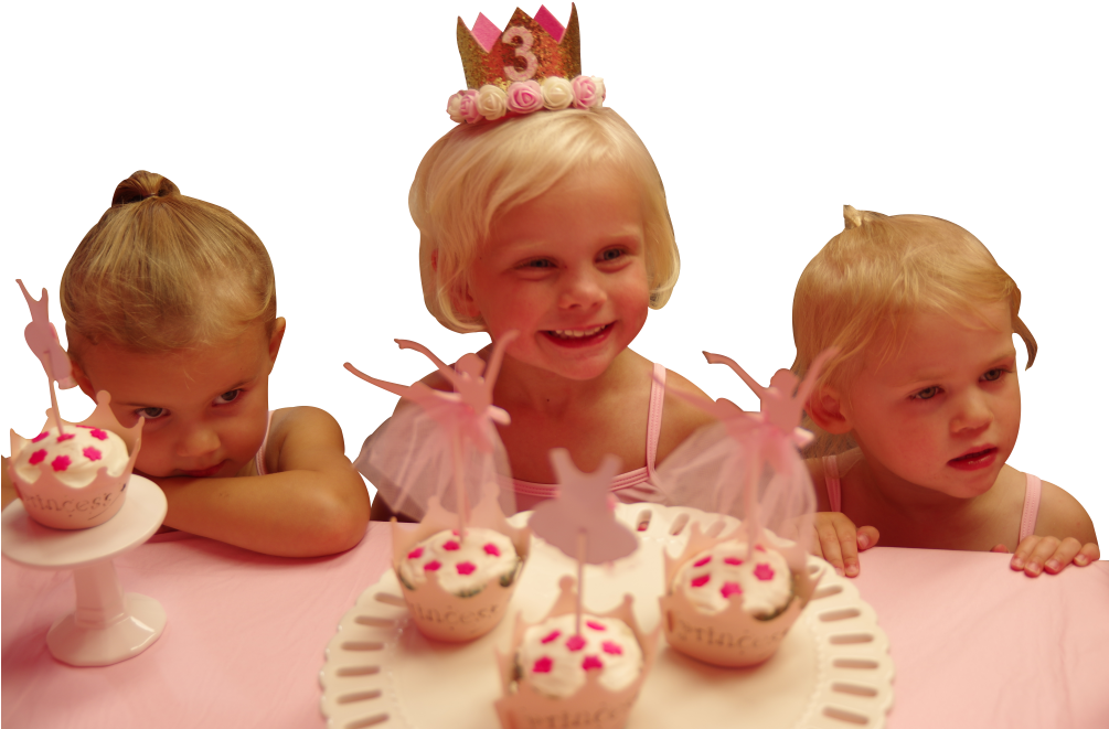 Fish Hawk (1004x691), Png Download