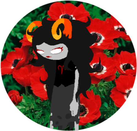 Homestuck Characters As Flowers - Anemoon - Hollandia - 2x50 Stuks (481x681), Png Download
