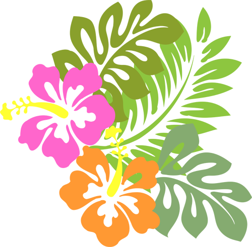 Hollis Higgins - Hibiscus Clip Art (500x491), Png Download