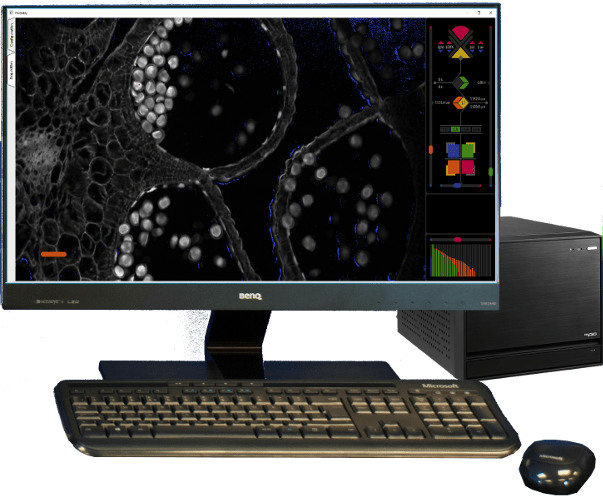 Aurox Confocal Microscope Clarity Workstation With - Packard Bell Imedia (603x500), Png Download