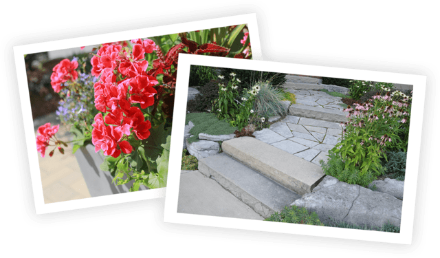 At Western Landscape Services We Look After Your Property - Landscaping (640x375), Png Download