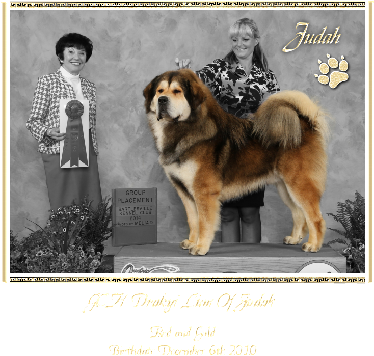 Ancient Dog Breeds (749x700), Png Download