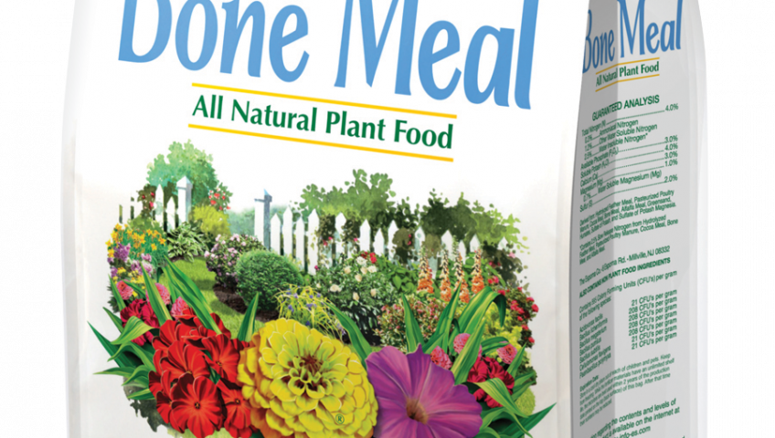 Read All The News About Our Company - 5 10 5 Fertilizer (848x480), Png Download