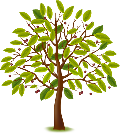 Home-tree - Lente Zomer Herfst Winter (406x453), Png Download