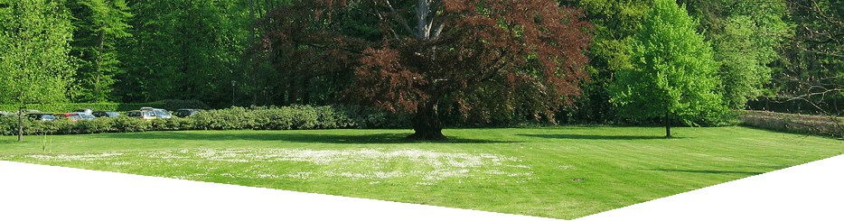 Contact Form - Lawn (934x245), Png Download