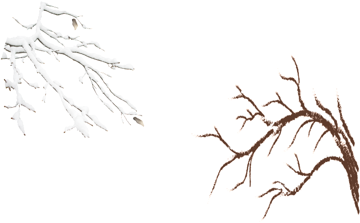 Snow Covered Branches - Portable Network Graphics (1024x834), Png Download