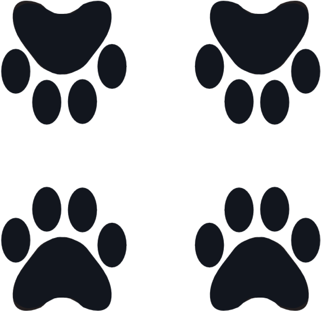 Dog Paw Black And White Silhouette Wallpaper - Tatuaje Pata De Lobo (800x800), Png Download