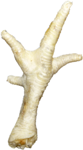 Puffed Chicken Feet - Anco Naturals Chicken Feet Puffed (750x750), Png Download