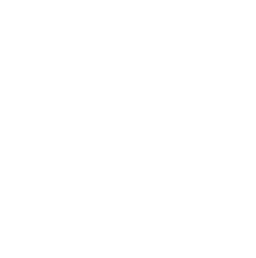 Pro Medico Logo - Logo (1050x1060), Png Download