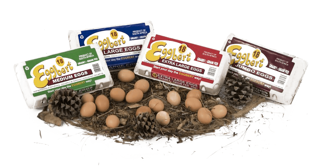 5 Dozen, 60's Carry Pack - Kiwifruit (1072x561), Png Download