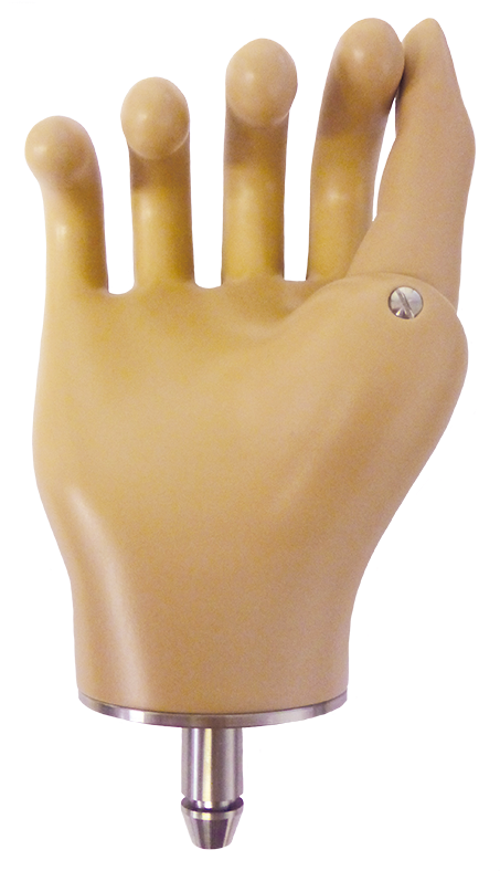 Enhanced Steeplon Hand - Hand (1000x1000), Png Download