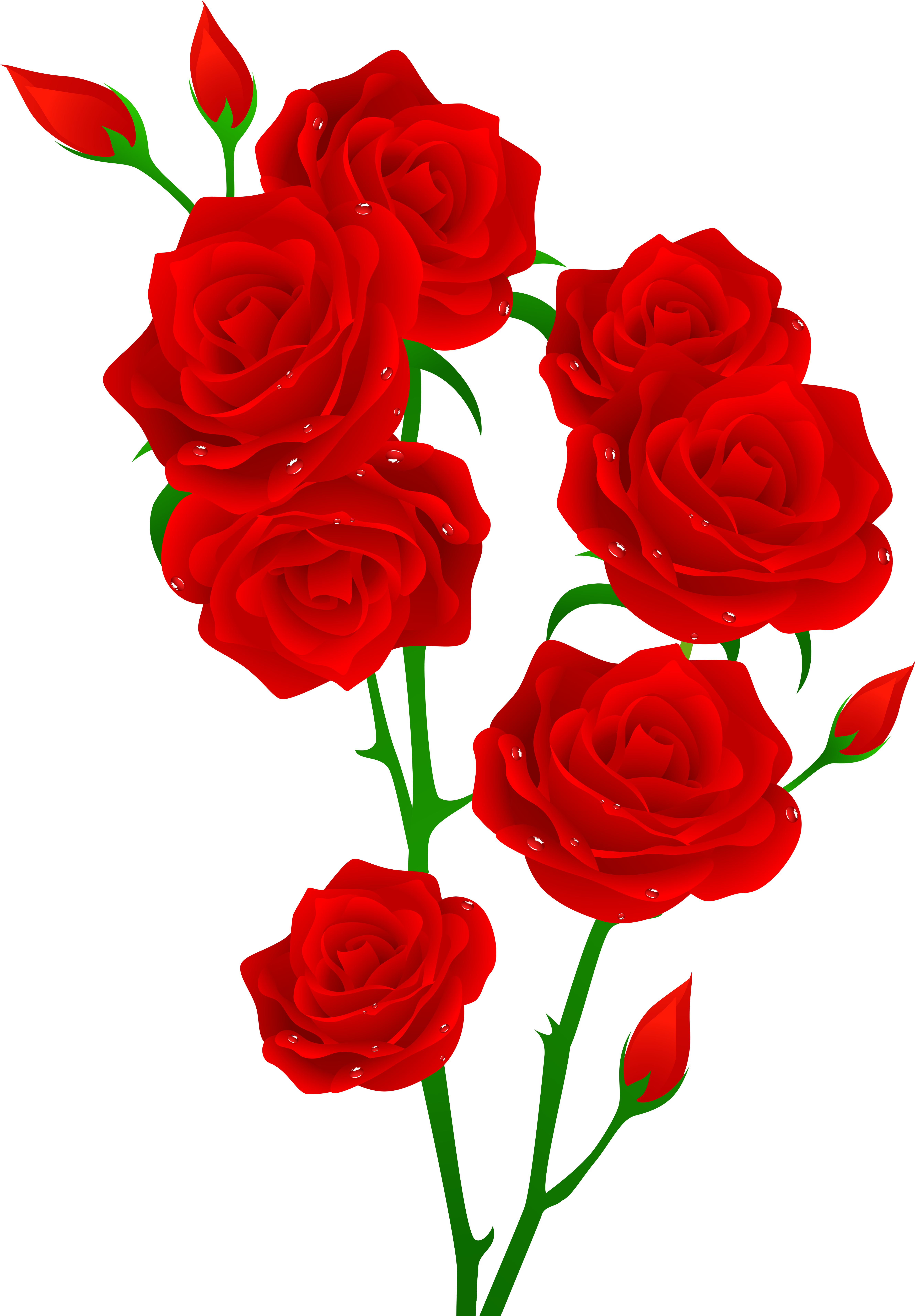 Red Roses Transparent Png Clip Art Image - Roses Transparent (5613x7726), Png Download