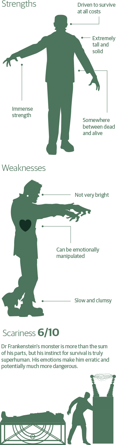 Frankenstein - Poster (383x1463), Png Download