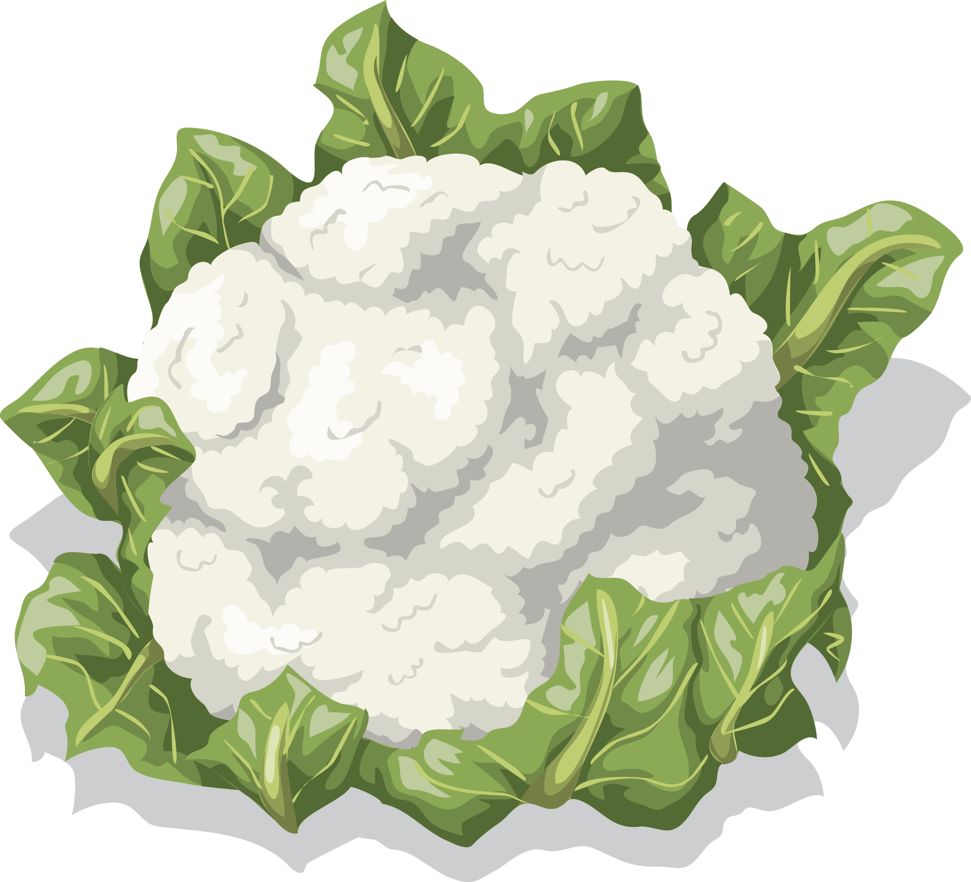 Vegetables Clipart Cauliflower - Cauliflower Clipart (1996x1812), Png Download