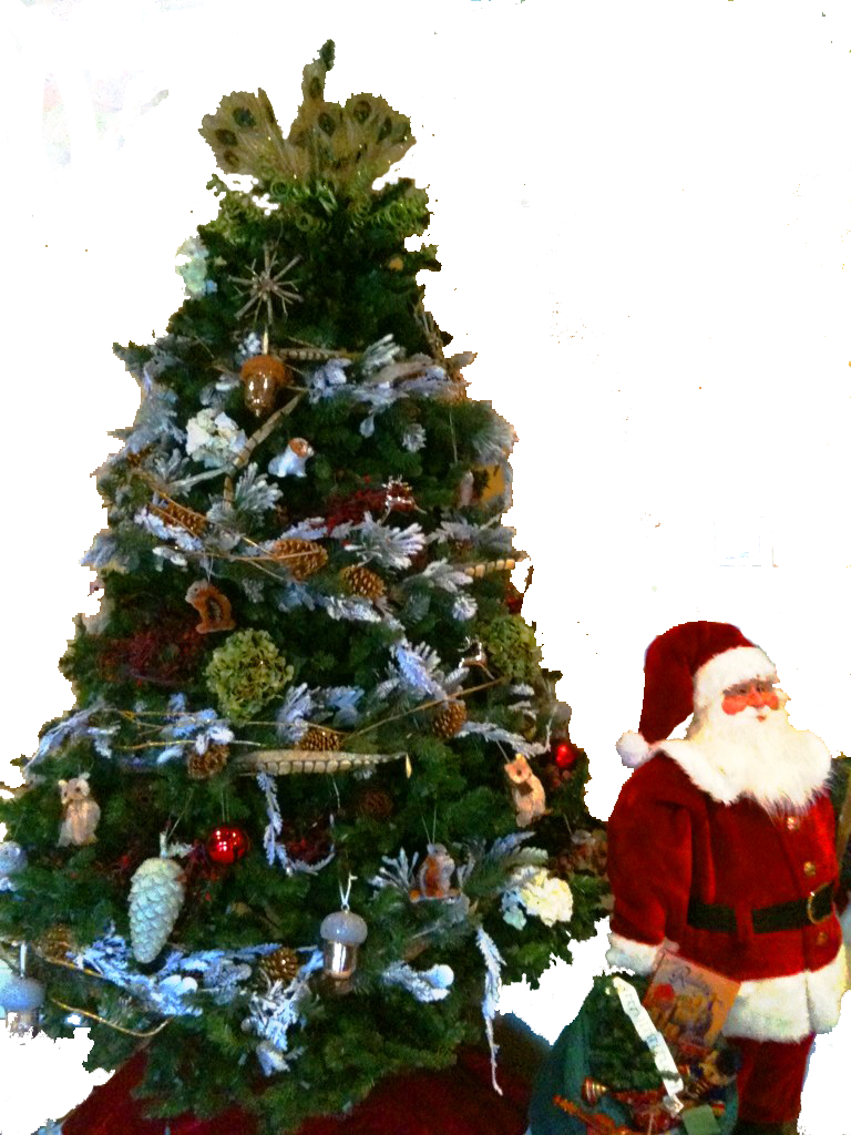 Here's A List Of Memorable Quotes - Christmas Tree (768x1024), Png Download