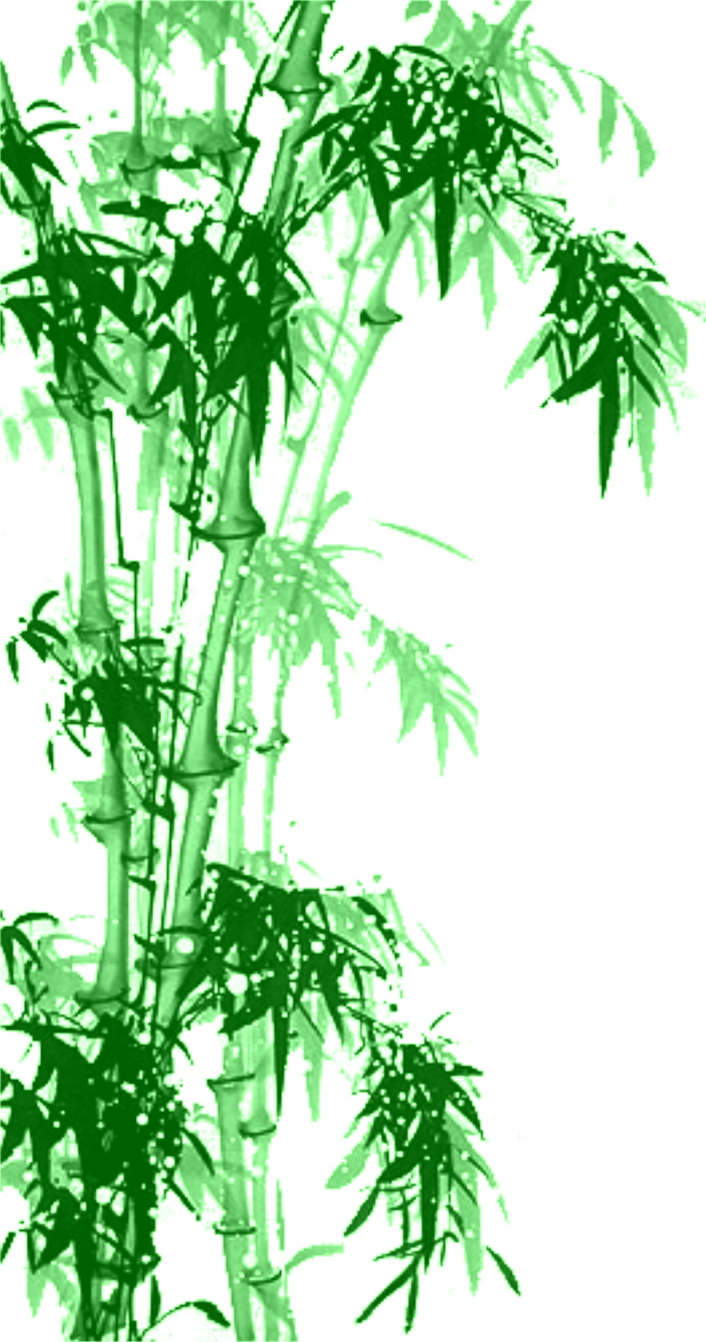 Chinese Style Bamboo Decorative Elements - Portable Network Graphics (1024x1946), Png Download