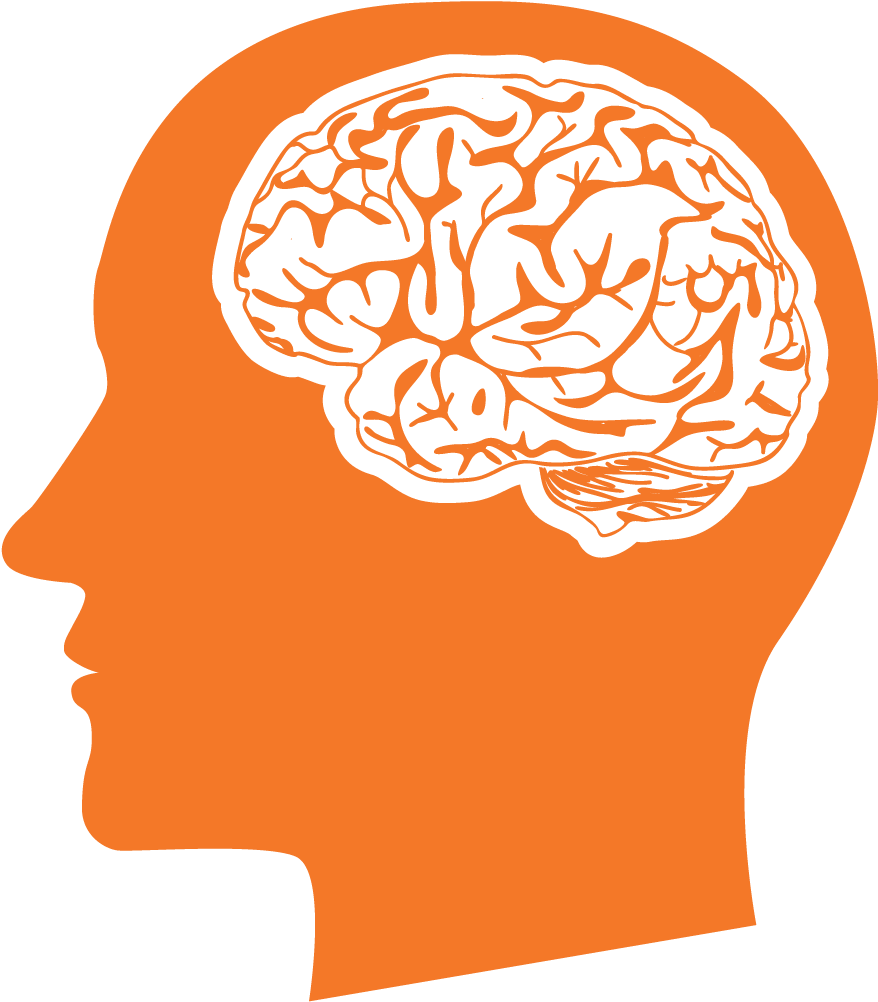 Large Head And Brain Animation (911x1699), Png Download