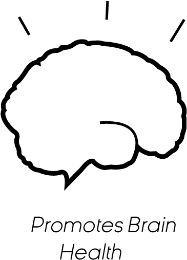 Brain Ryan Jacobson 2017 04 03t20 (425x513), Png Download