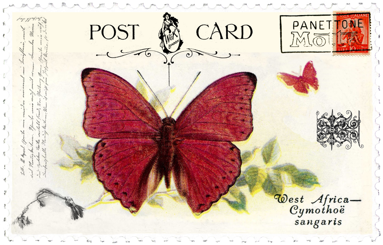 Juno Vintage Butterfly Postage Stamp - Post Stamp Vintage Png (1458x1048), Png Download