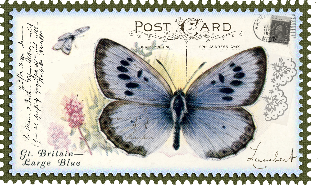 Postage Stamp Png Download - Georgetown (1409x904), Png Download