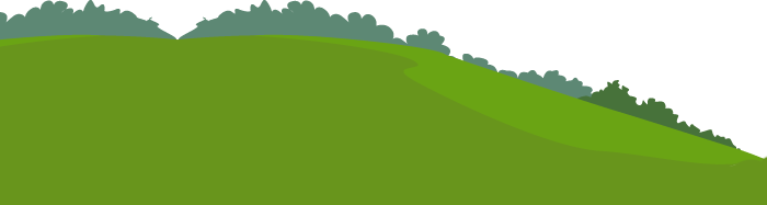 Dental Emergencies - Grass (700x187), Png Download
