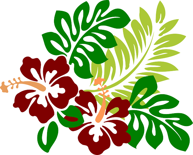Imagen Gratis En Pixabay - Hibiscus Clip Art (640x515), Png Download