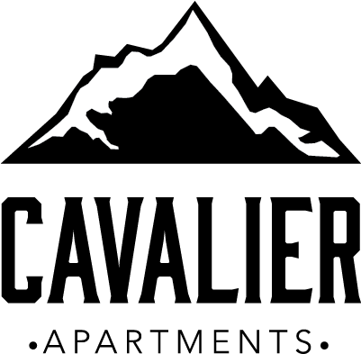 Cav-05 - Penfield Classic Beanie - Navy (500x500), Png Download