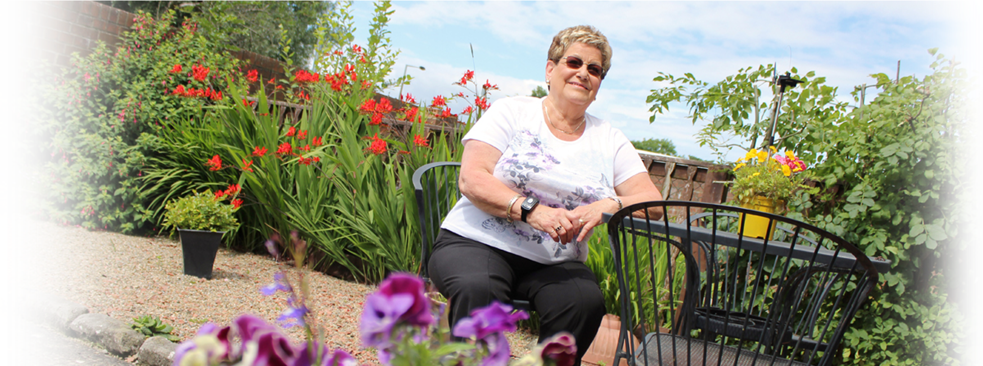 Telecare Devices - Crocus (2075x731), Png Download