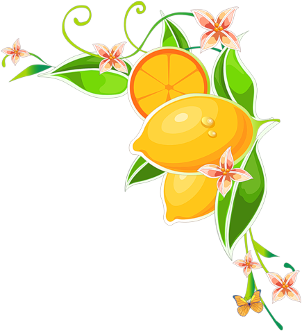 008 - Flower Wall Mural - Beautiful Butterfly (449x500), Png Download