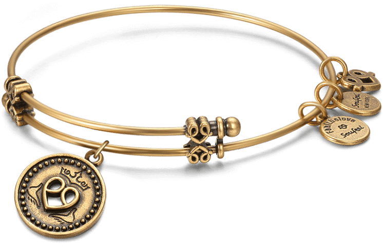 Bangle Bracelets Soufeel Claddagh Charm Bangle (750x750), Png Download