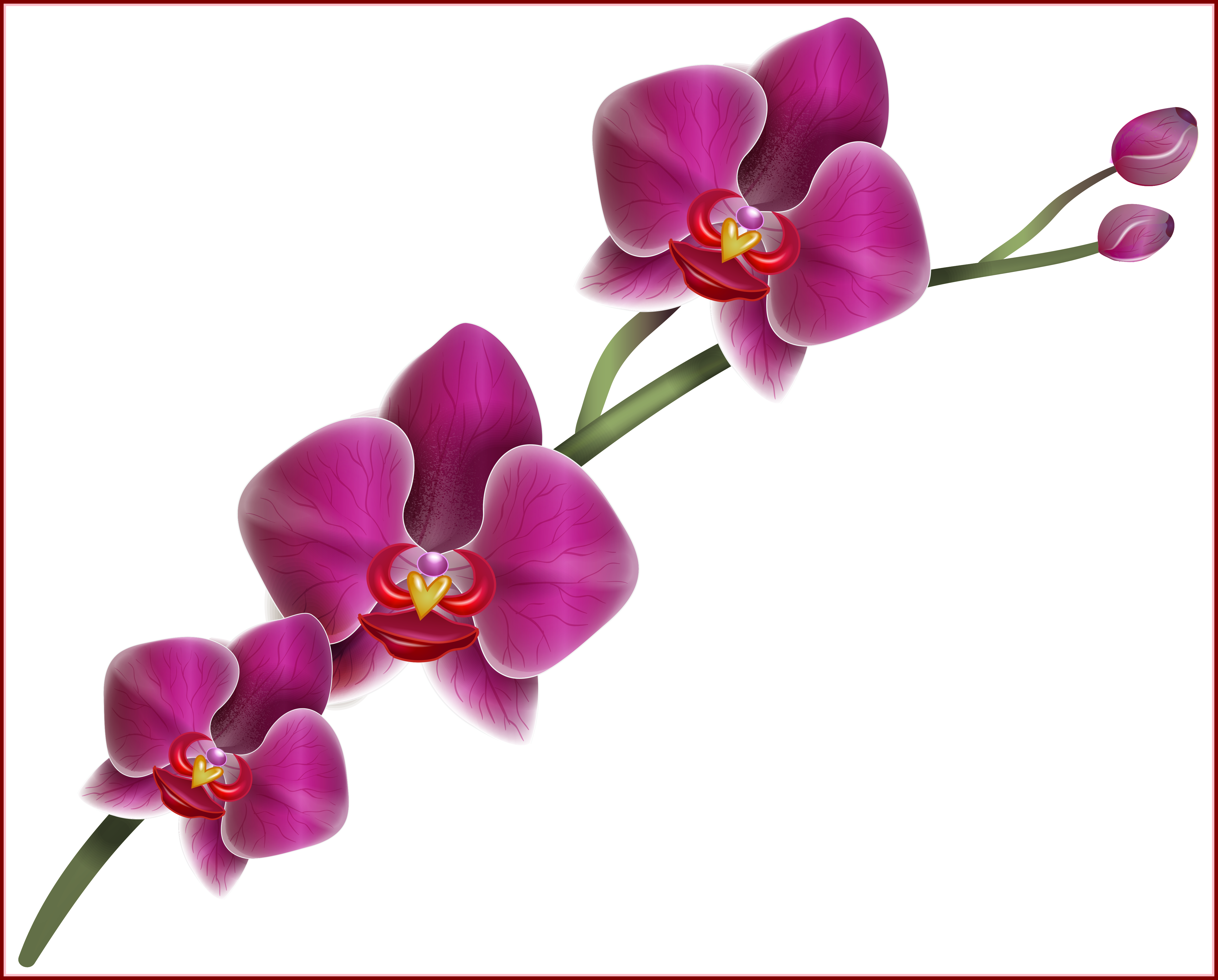 Best Clipart Angry Dragon Silhouette Silouettes Pict - Orchid .png (5117x4116), Png Download