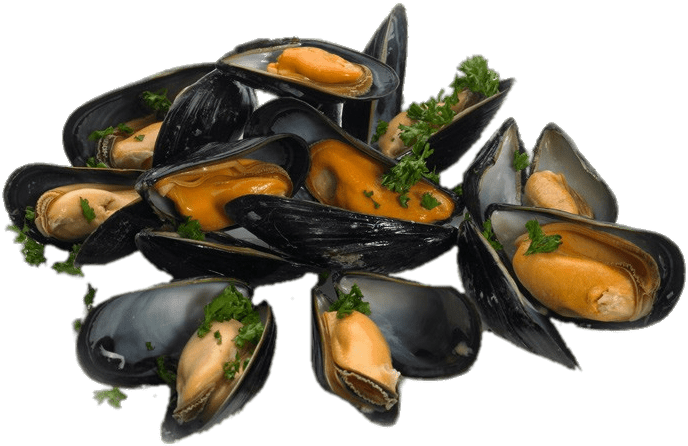 Cooked Mussels With Parsley - Mussel (400x400), Png Download