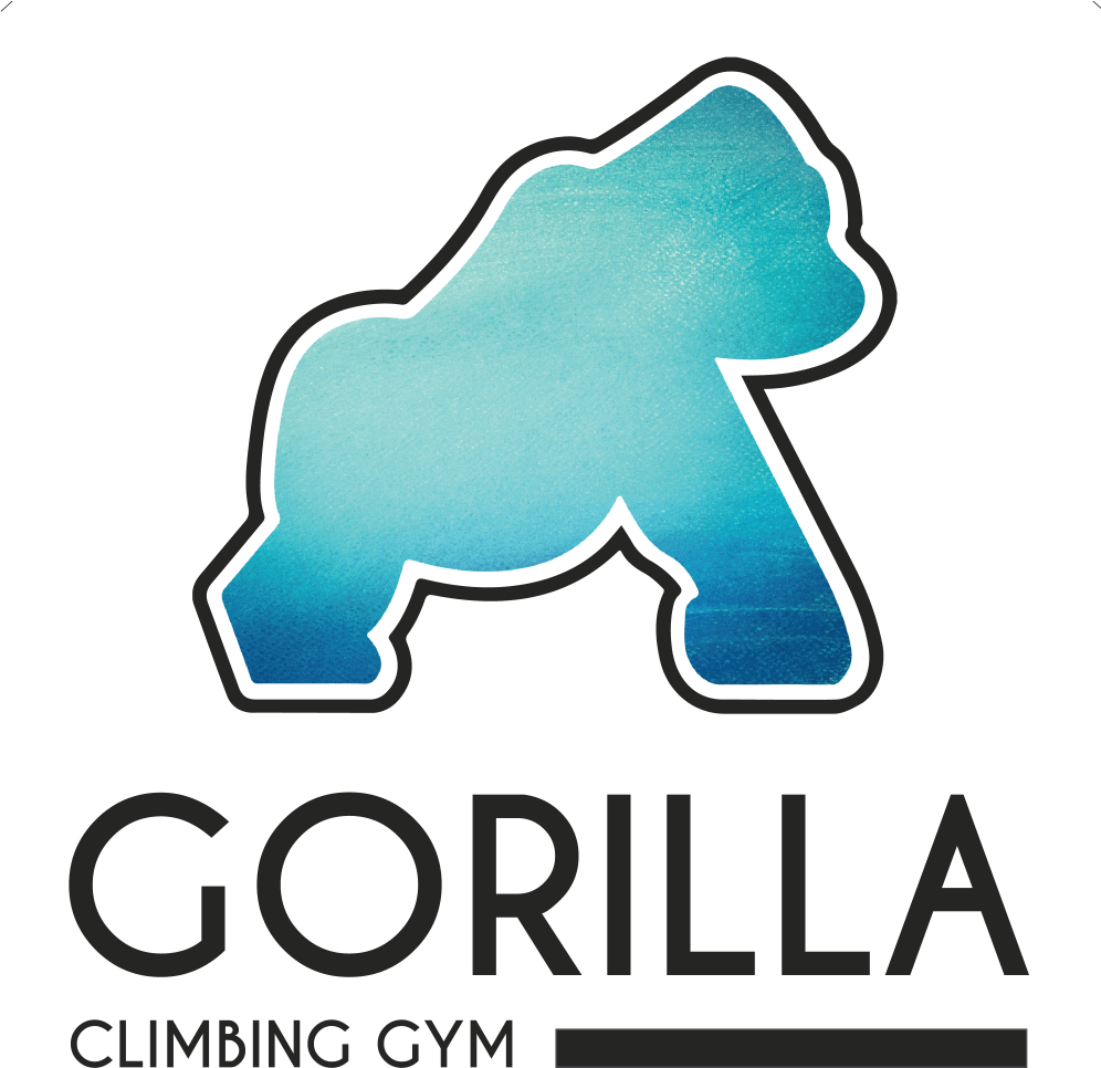 Gorilla Climbing Gym (995x1009), Png Download
