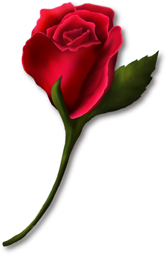 Red Rose Bud Painted Clipart - Rose Bud Clip Art (328x501), Png Download